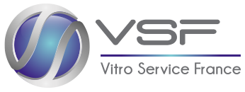 logo_VSF